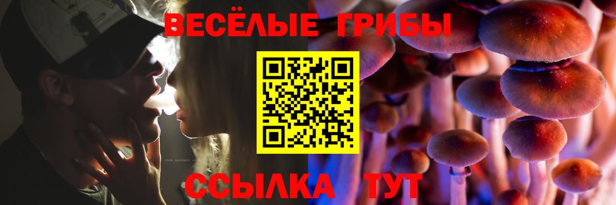 Псилоцибиновые грибы прущие грибы  Вход с VPN  Галлюциногенные грибы мухоморы  Пятигорск 